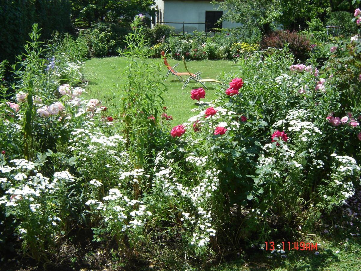 Ferienhaus Im Garten Mit Pool Viena