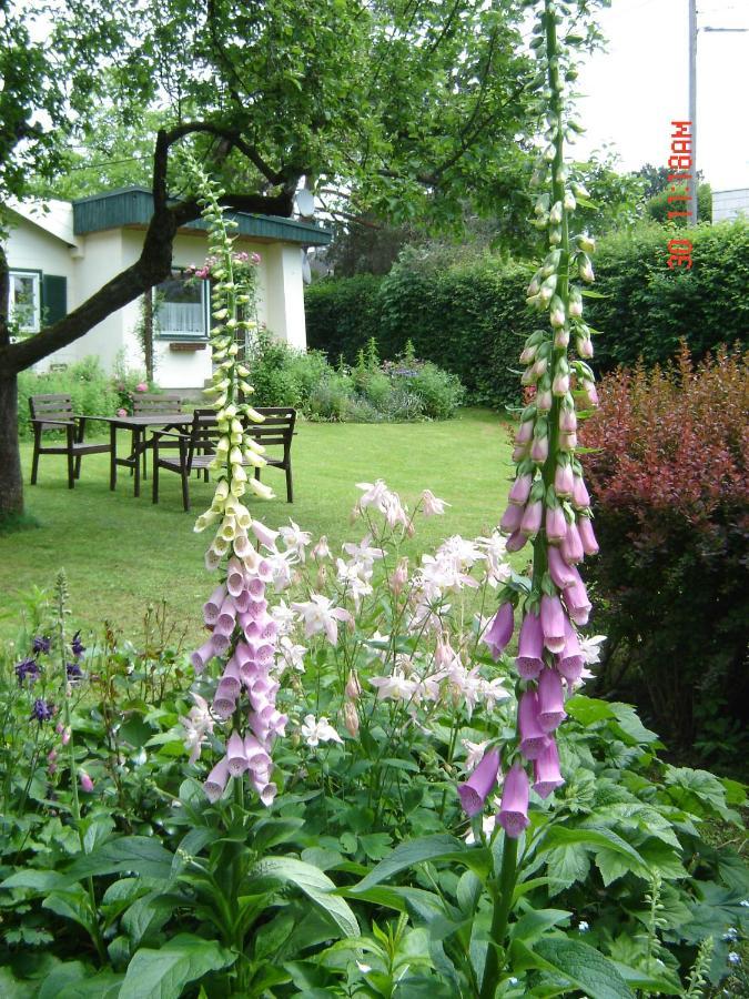 Ferienhaus Im Garten Mit Pool Viena
