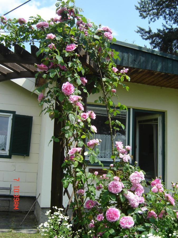 Ferienhaus Im Garten Mit Pool Viena